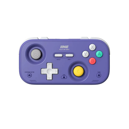 Pocket Retro Game Controller,1000Hz Recessed Stick, Hall Effect Joysticks,Portable Mini Gamepad Customizable Controls